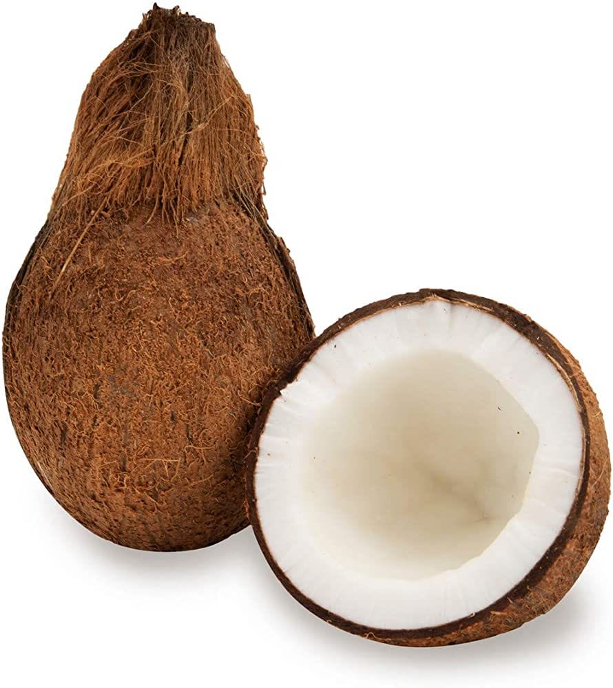 Coconut