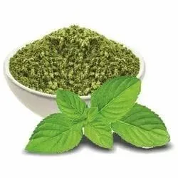 Pudina Podi