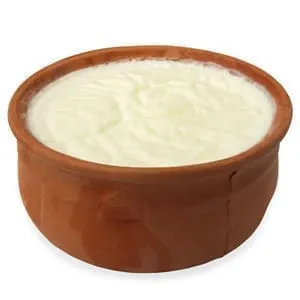 Plain Curd