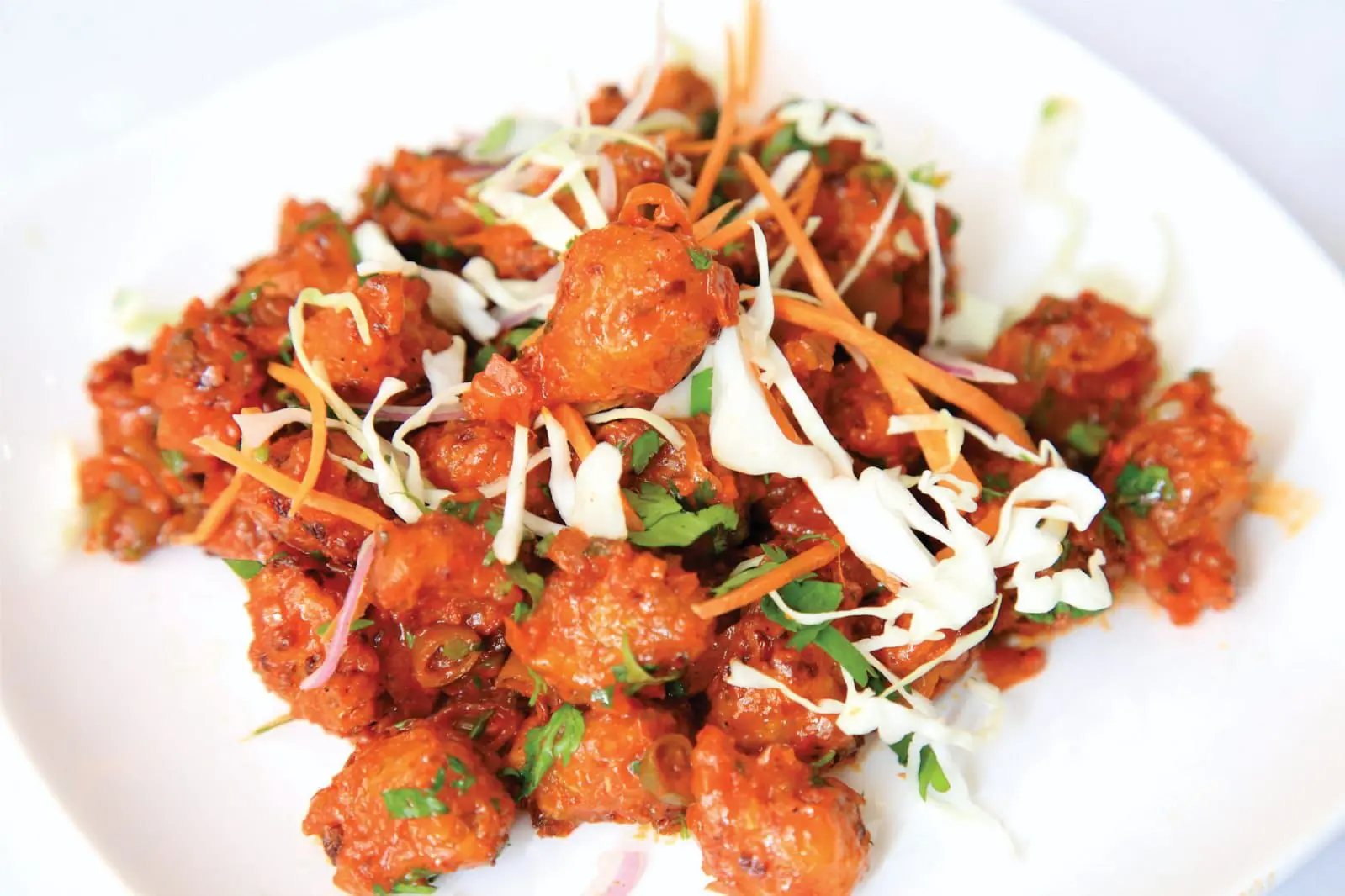 Veg Manchuria (Dry-Wet)