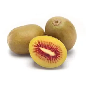 Kiwi Fruit-Imported