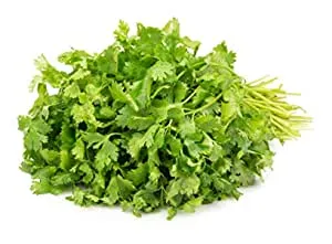 Coriander