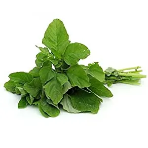 Thotakura