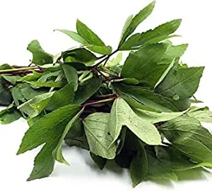 Gongura