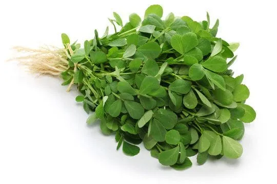 Menthikura
