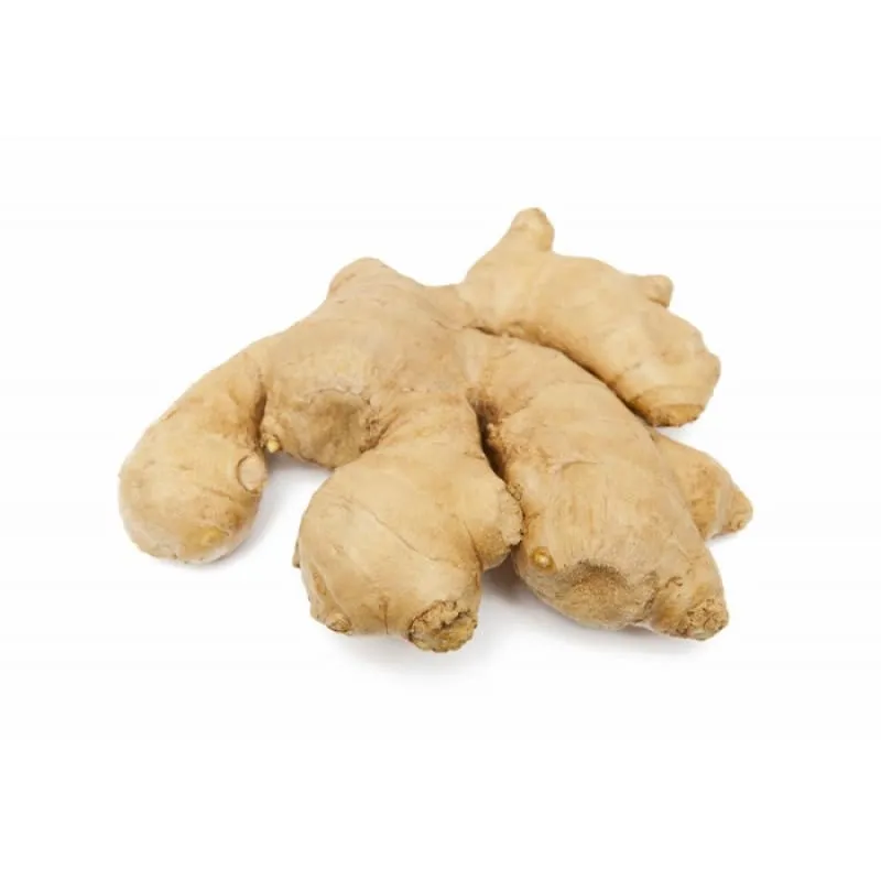 Ginger