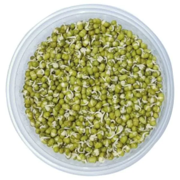 Green gram Sprouts