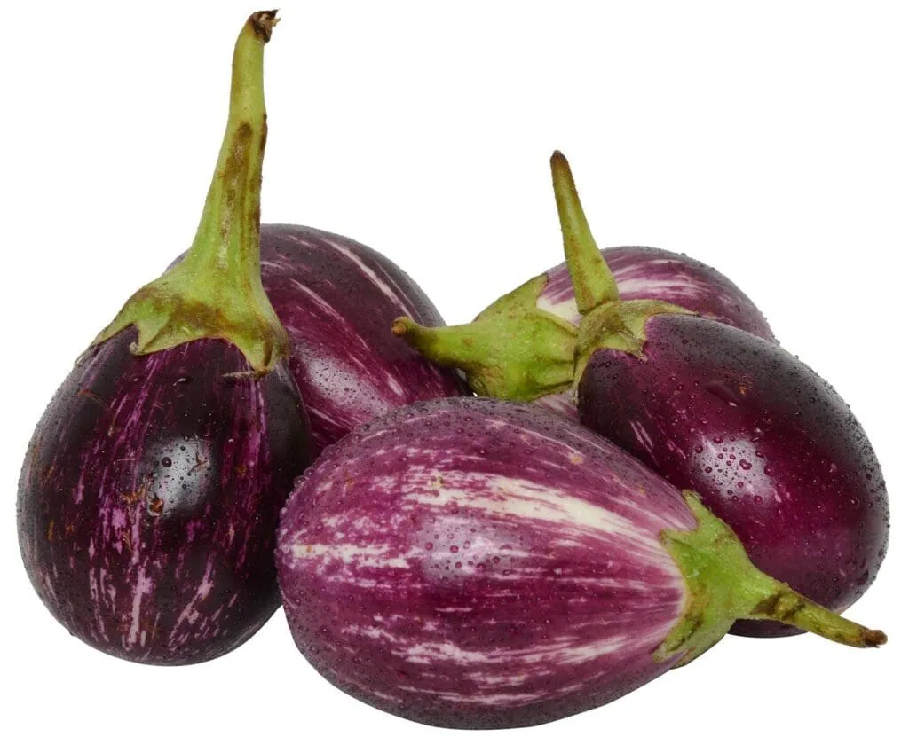 Brinjal