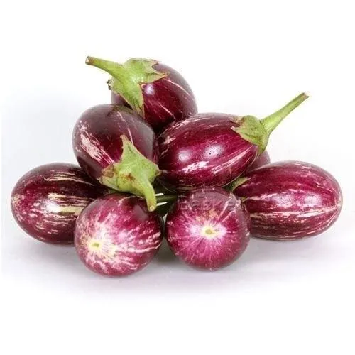 Brinjal Star