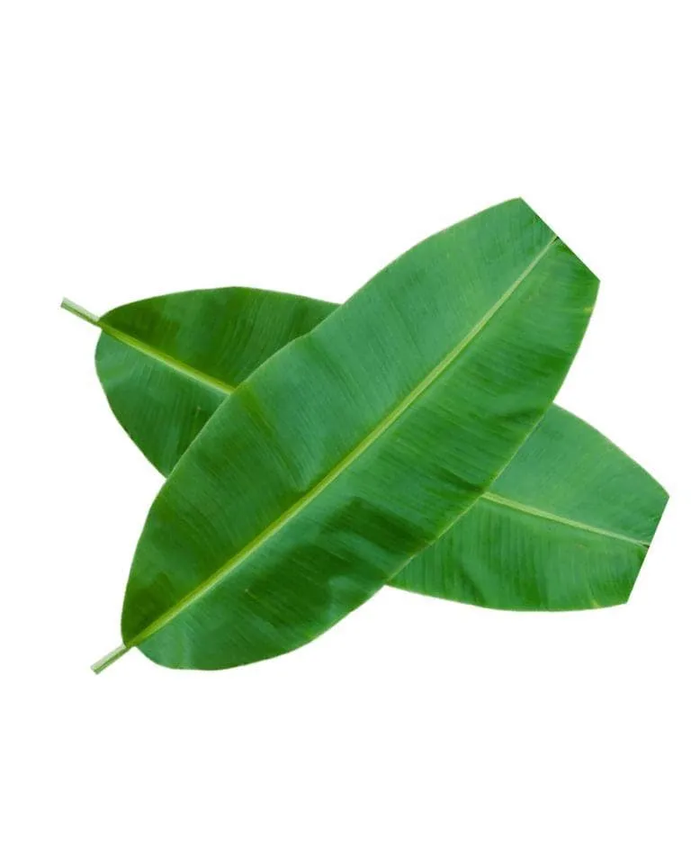 Banana leafs