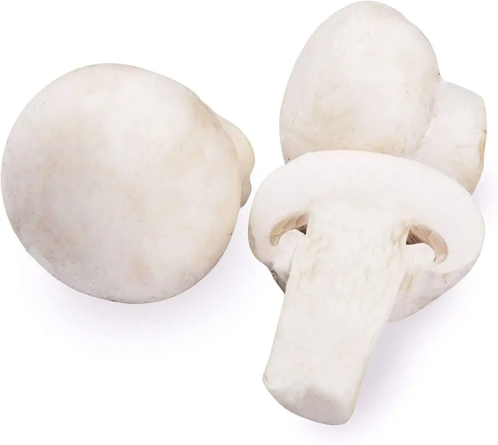 Mushroom