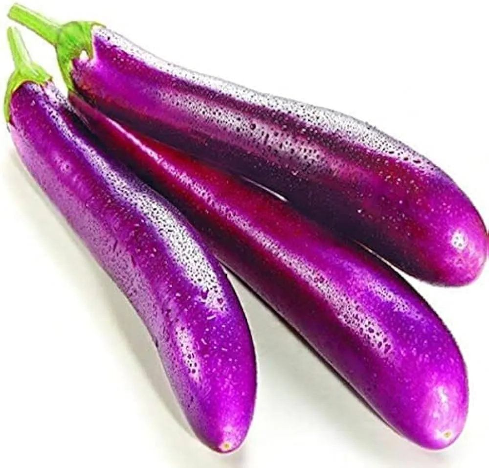 Brinjal long
