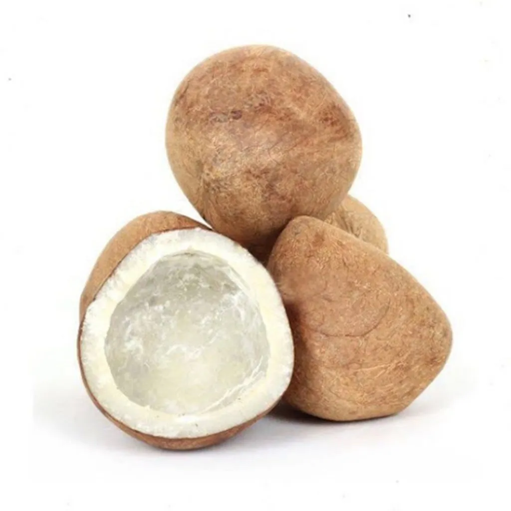 Coconut (Kuridi Kobbari)