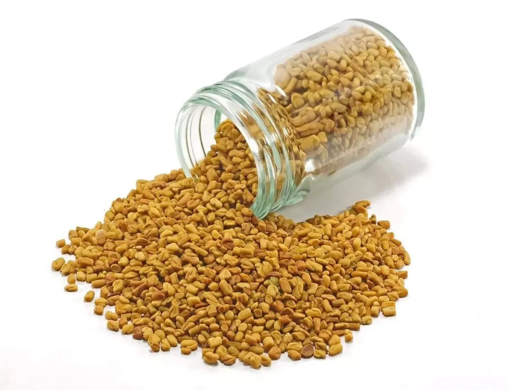 Fenugreek seeds-Methi