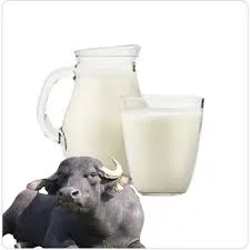 Buffalo Milk-