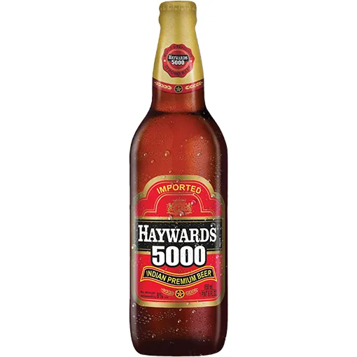 Hayward 5000