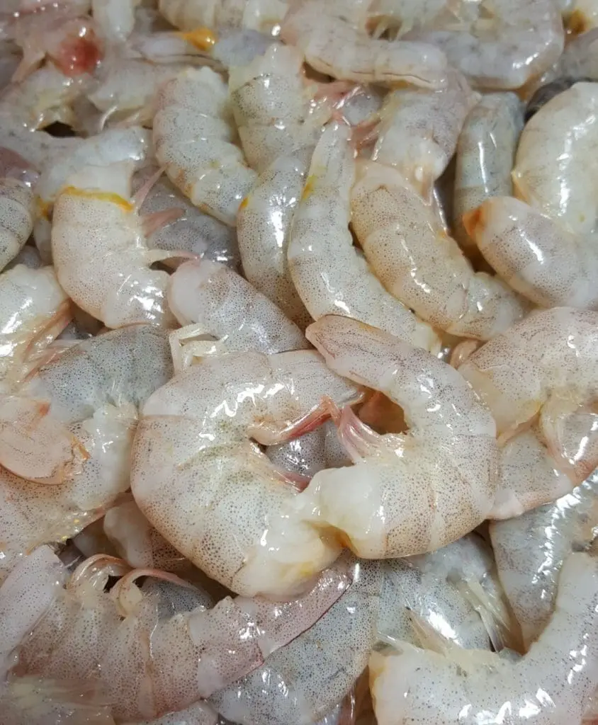Prawns Small