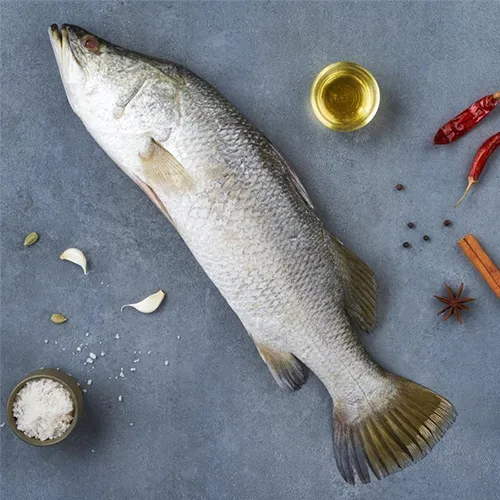 Fresh Barramundi (Pandugappa)/Bhetki