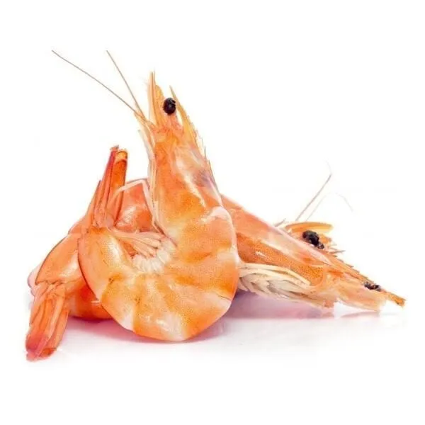 Prawns Medium
