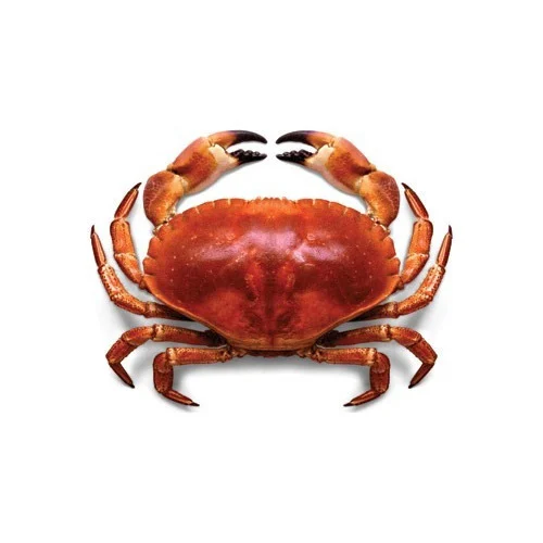 Sea Crabs