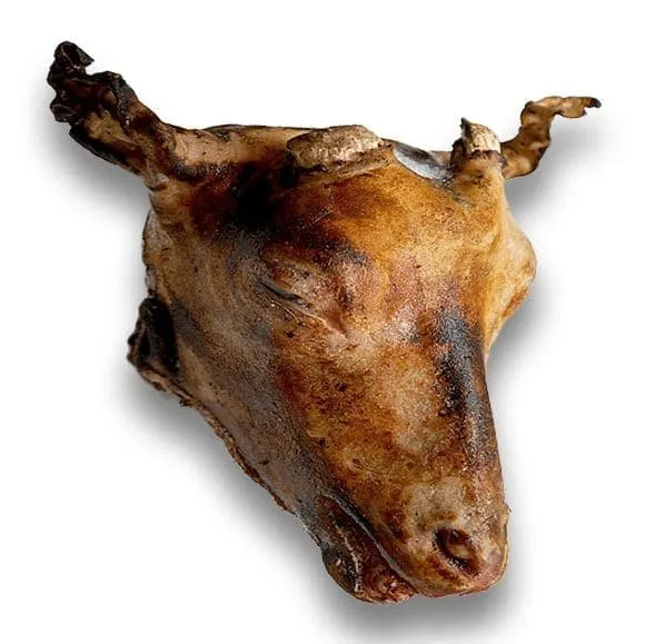 Mutton Head
