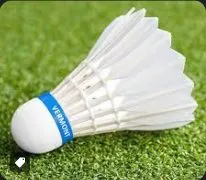 Badminton Shuttlecocks
