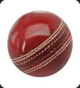 Cricket Balls