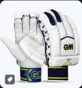 Cricket Batting Gloves