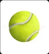 Tennis Balls