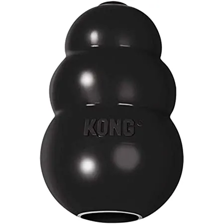 Kong Extreme Toy All Ages