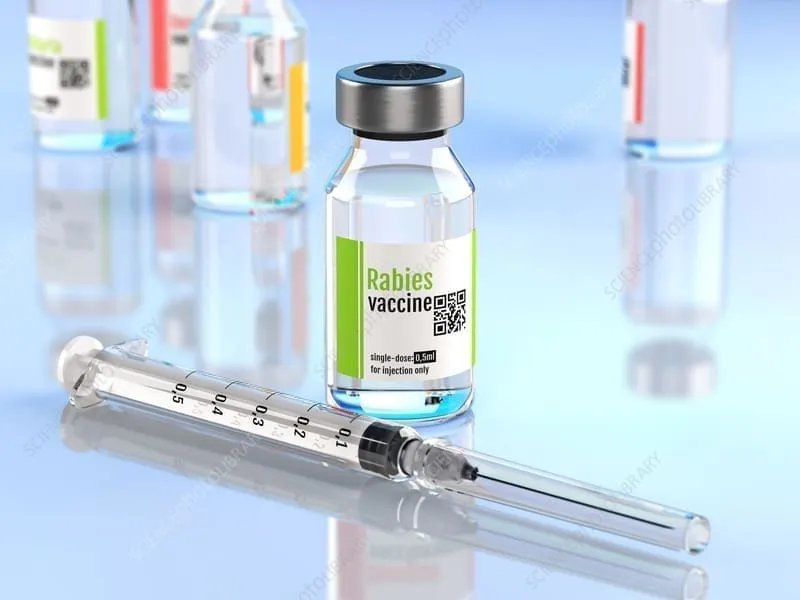 Rabies Vaccine