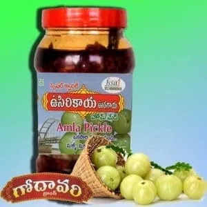 Godavari Pickles