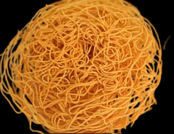 Vamu Poosa (Rice)