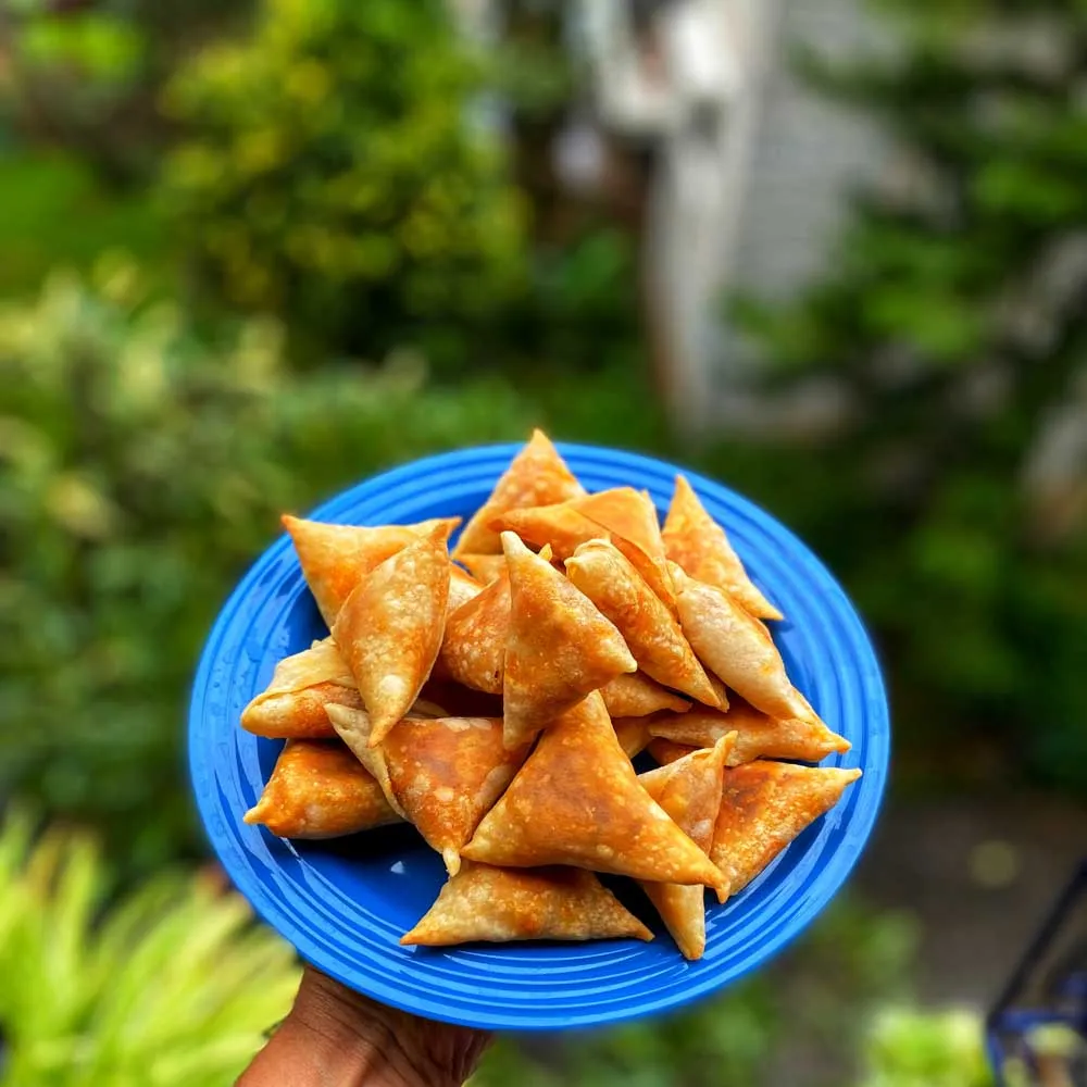 Onion Samosa