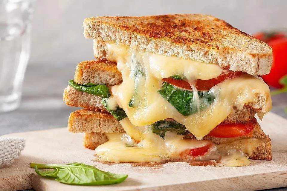 Cheese Sandwich