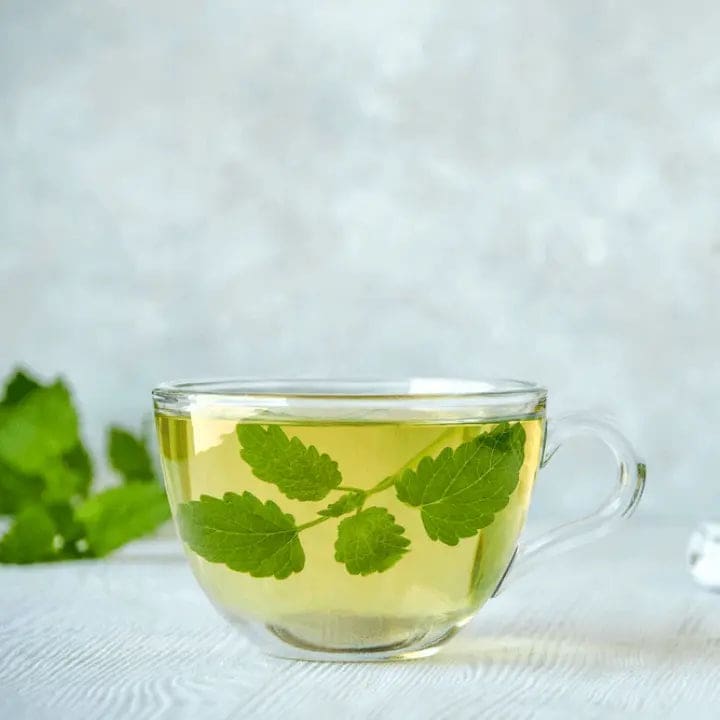 Morocconmint Green Tea