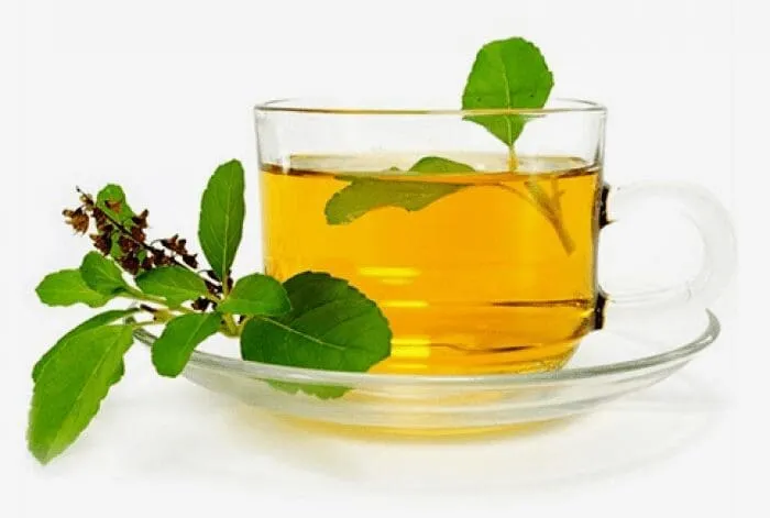 Tulsi Green Tea