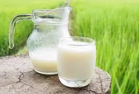 Absolute Raw Milk