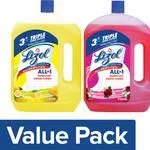 Lizol Disinfectant Surface and Floor Cleaner Liquid – Combo Citrus and Floral
