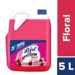 Lizol Disinfectant Surface and Floor Cleaner Liquid – Floral