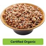 Organic Sprouts Channa Brown
