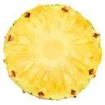 Pineapple – Slices Round