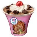 Baskin Robbins Ice Cream Sundae – Mississippi Mud