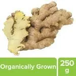 Fresho Ginger – Organically Grown Loose