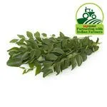 Fresho Curry Leaves