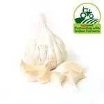 Fresho Garlic Loose