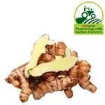 Fresho Ginger – Mango