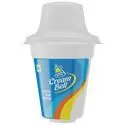Cream Bell Ice Cream – Sundae Pina Orange Rich and Creamy