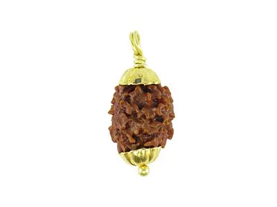 Patanjali 2 Mukhi Rudraksha With Cap-Paudjwkpjs2015201 Freesize