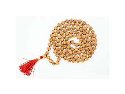 Patanjali 5 Mukhi Rudraksha Mala 6.5 Freesize